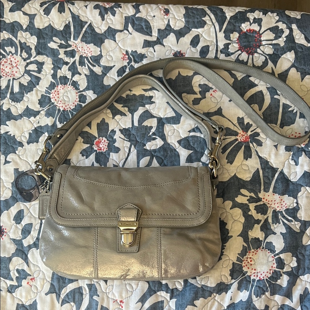 Coach Poppy Metallic Gray Leather Shoulder Bag